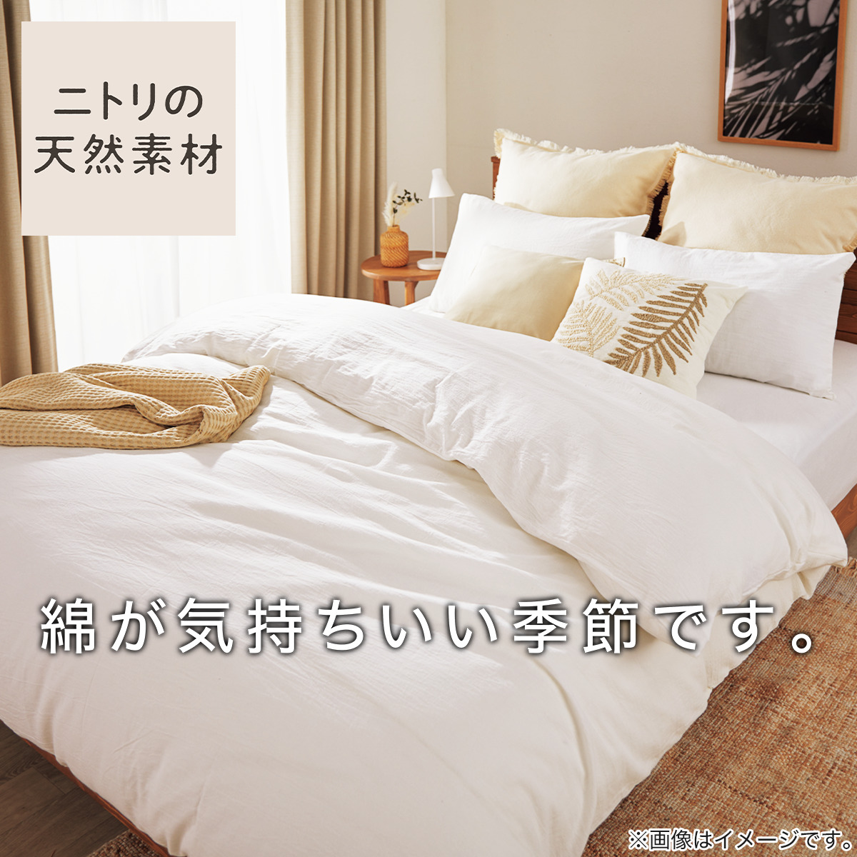 rich7518075s03.jpg