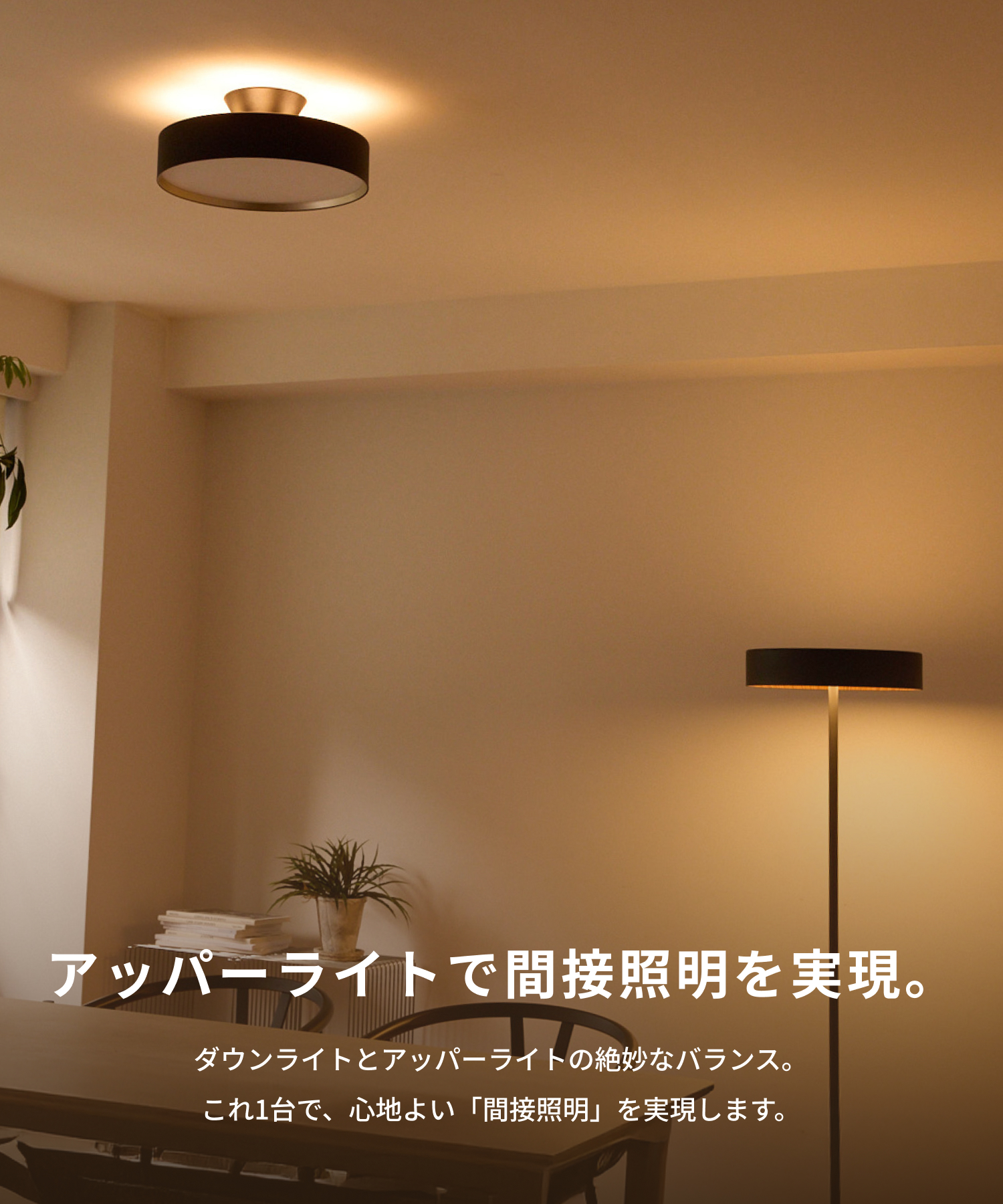 ARTWORKSTUDIO（アートワークスタジオ） シーリングライト 12畳 アート