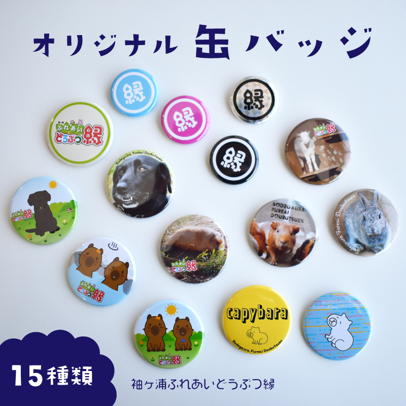 badge-pc_1.jpg