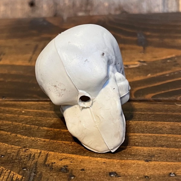 ドクロ SKULL オブジェ ガイコツ 置物 骸骨 スカル 邪気を払う「魔除け