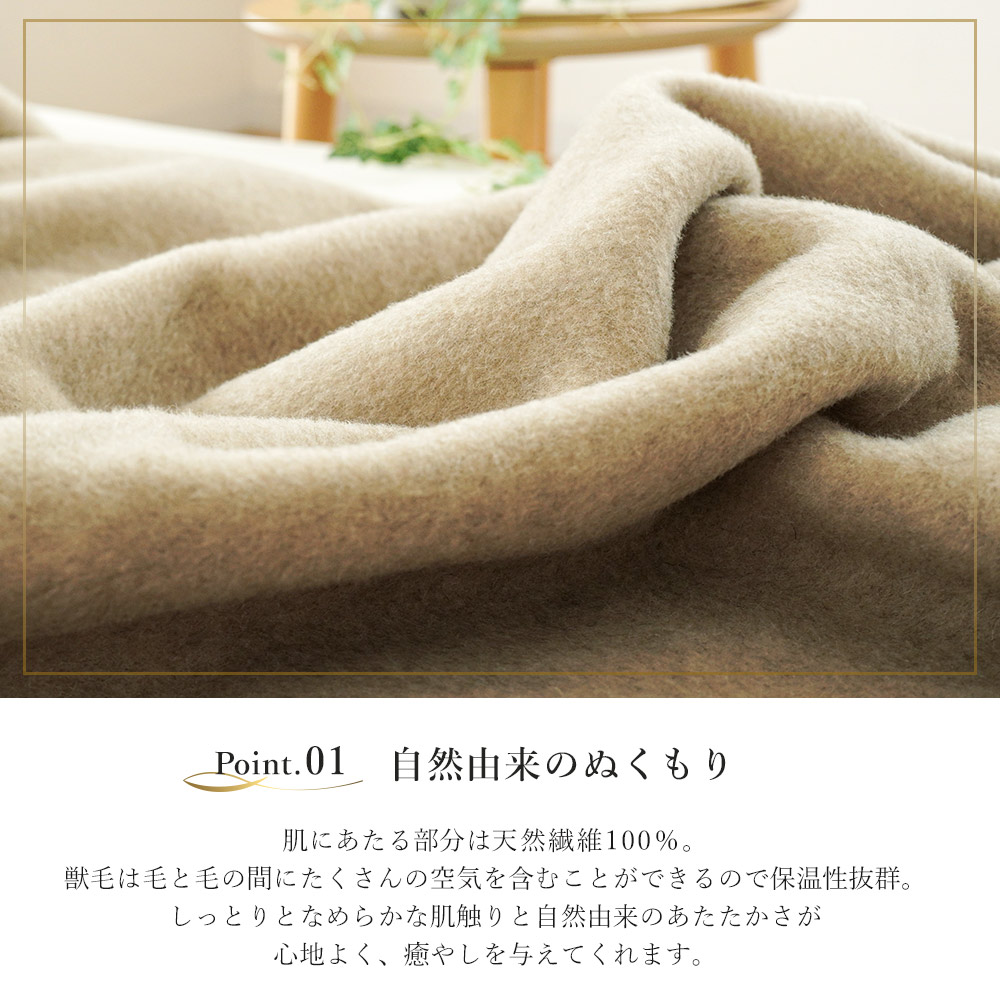 imgrc0098144619.jpg