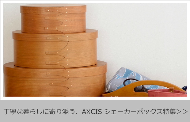 AXCIS（アクシス） ＼2/25はポイント10倍／ シェーカーダストボックス