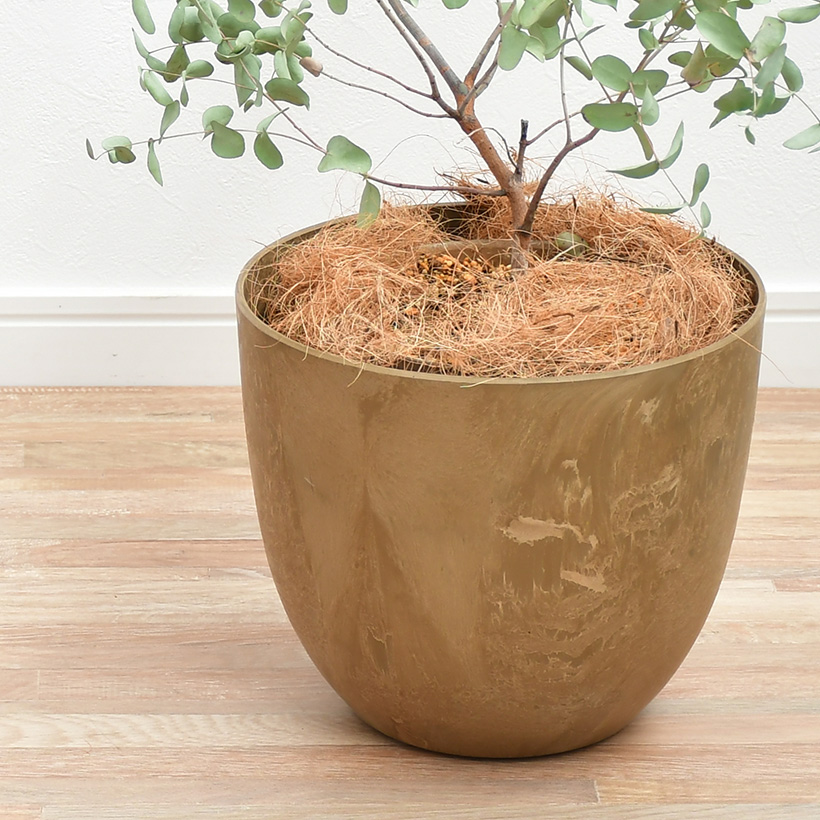 植木鉢 プランター ARTSTONE アートストーン ラウンドXS 直径23cm