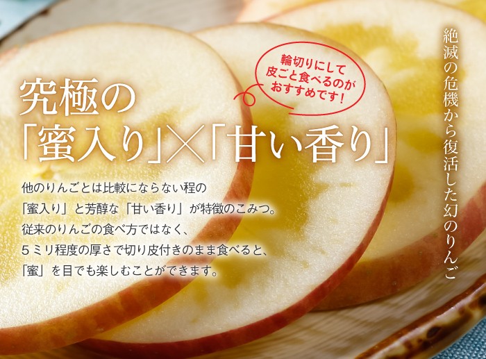 りんご こみつ 秀品 6〜13玉 2kg 究極の蜜入りりんご 青森県産 JA津軽