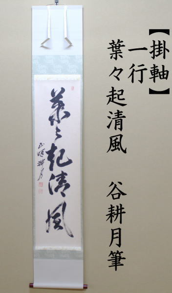茶道具 掛軸 掛け軸 一行 葉々起清風 谷耕月筆 茶道 : 茶道具いまや