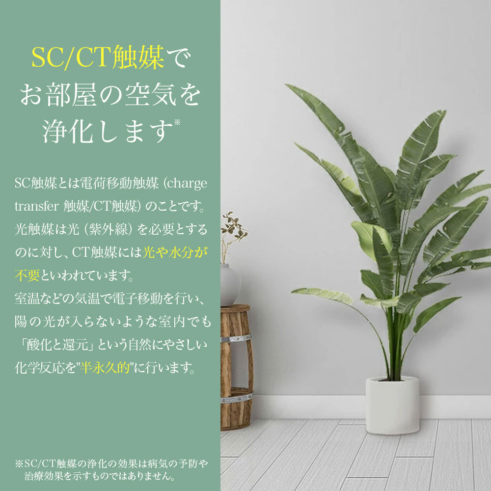 神戸花物語 フェイクグリーン トネリコ 人工観葉植物 大型 光触媒 天然