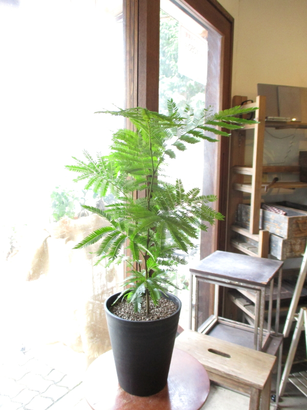 everfresh_02_03.jpg