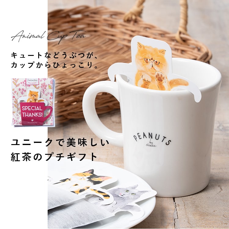 紅茶 ギフト アニマルインザカップ 3パック入り かわいい ティー