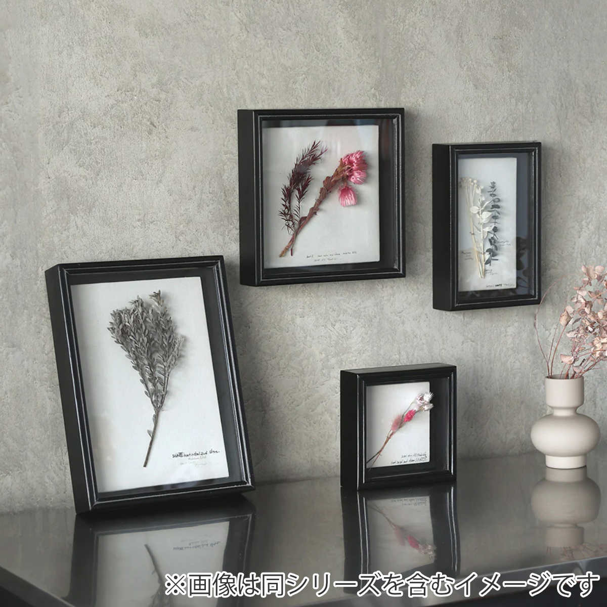 magnet フラワーフレーム SPECIMEN FRAME 30×40cm 木製 フレームのみ