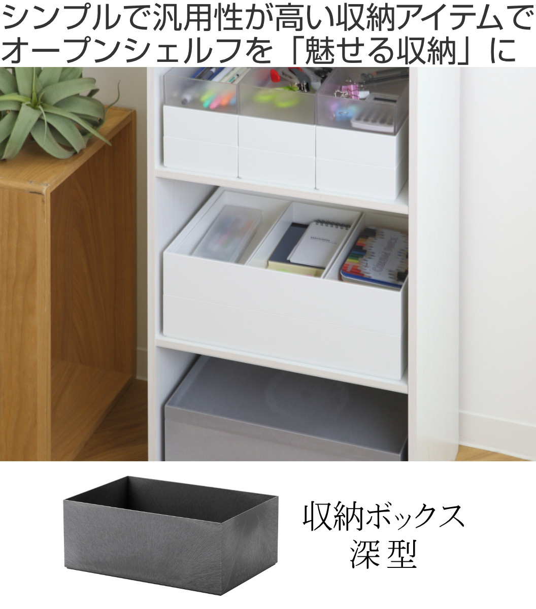 Like-it（ライクイット） 収納ボックス タイディアップボックス D3725