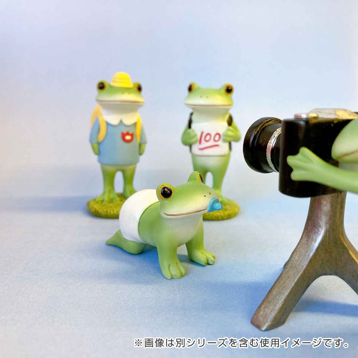 置き物 赤ちゃんカエル Copeau コポー （ カエル コポタロウ 置物 玄関