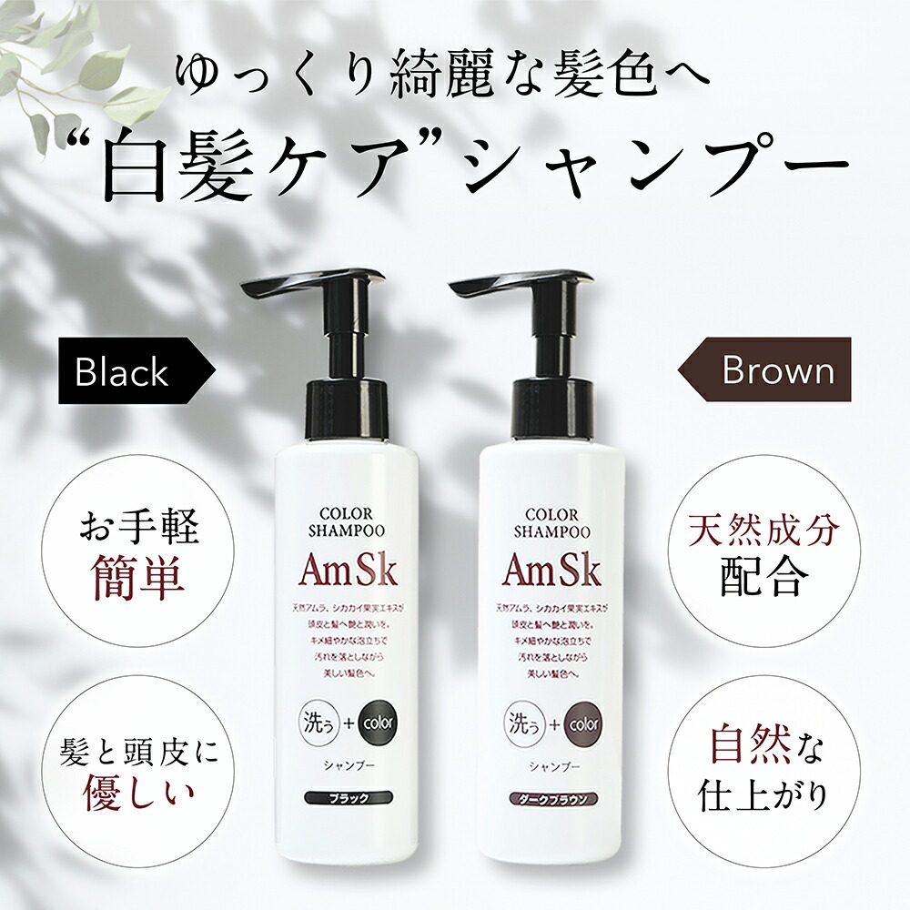 amsk200_01.jpg