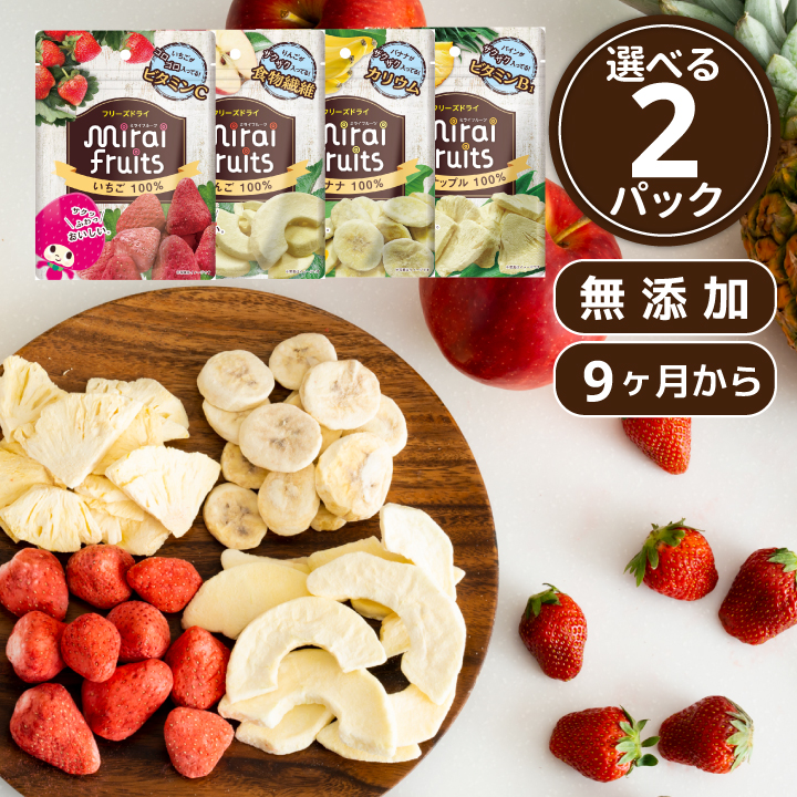 乳児用規格適用食品 フリーズドライフルーツ いちご りんご バナナ
