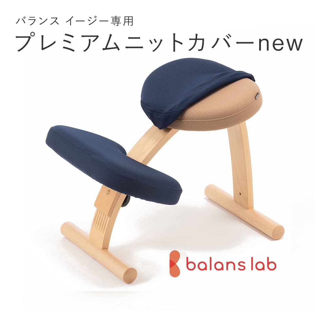 旧型リボ社製バランスチェア・イージー：アフターパーツ／膝クッション