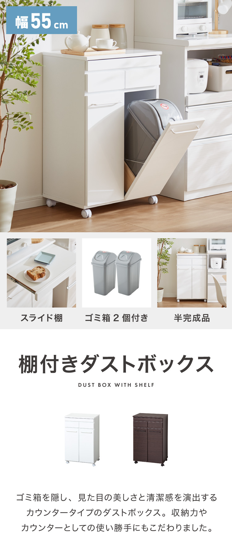 スライド棚付きダストボックス 分別 大容量 2分別 ごみ箱 ゴミ箱 幅55