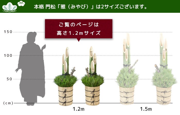 本格 門松 「雅（みやび）」 1.2m （関東向け） 一対2台 すべて