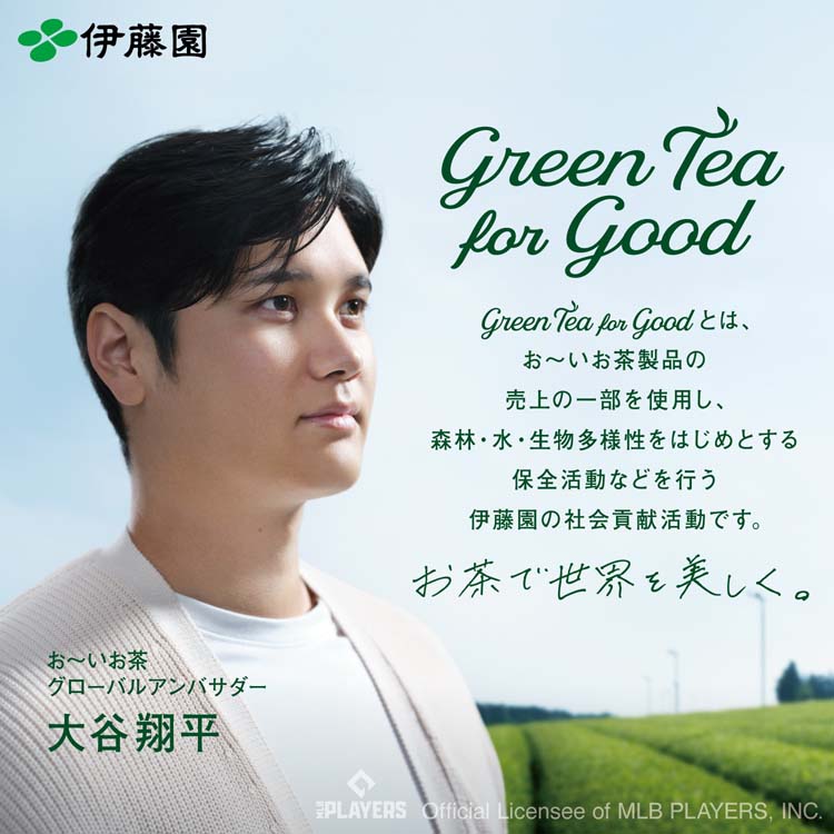 伊藤園 おーいお茶 緑茶 スリムボトル ( 1000ml*12本入 )/ お〜いお茶