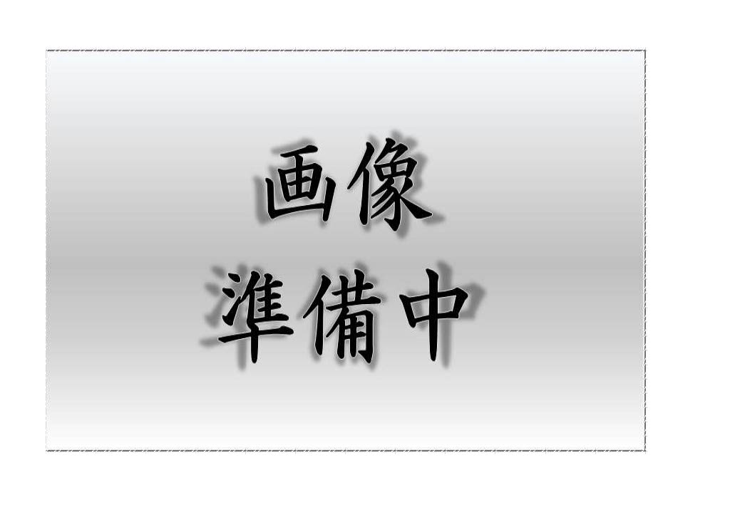 Panasonic（パナソニック） FA20312CLE1 LED誘導灯B級BL片面直付