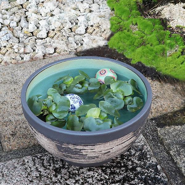 信楽焼 睡蓮鉢 メダカ鉢 おしゃれ めだか鉢 陶器 水鉢 ビオトープ
