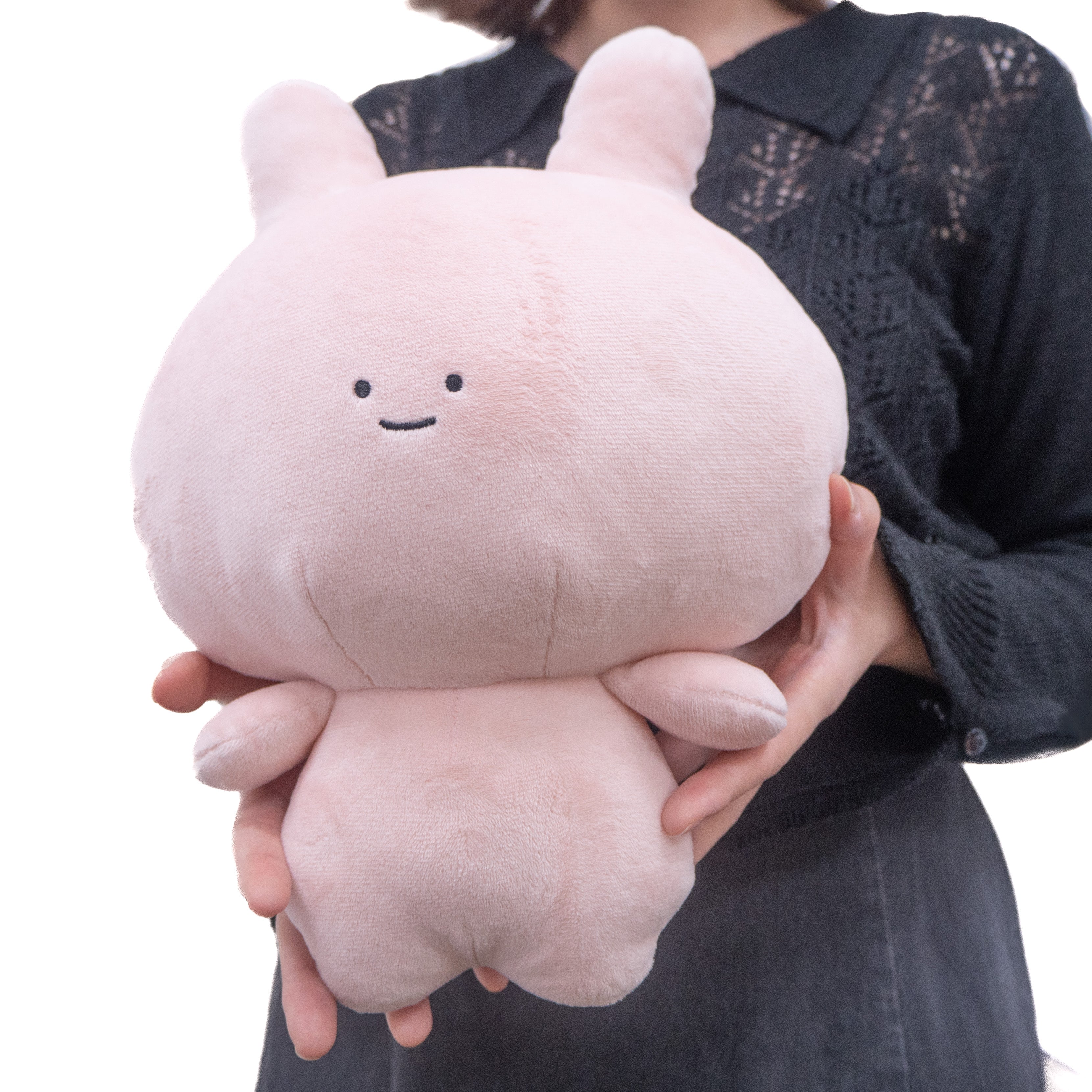 あさみみちゃん】あさみみちゃん&あねみみちゃん30cmぬいぐるみセット