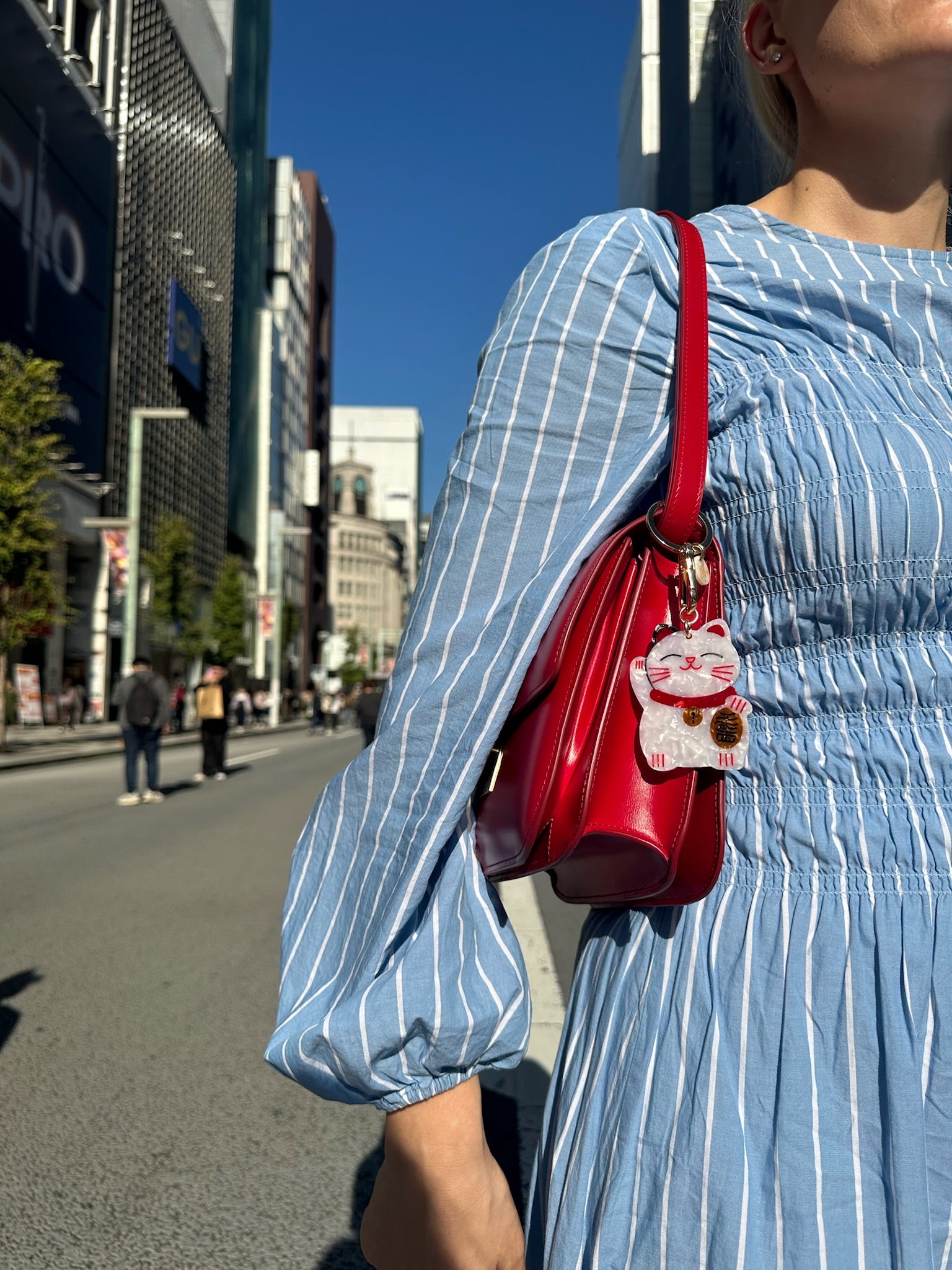 Hand-painted Lucky Cat Bag Charm + Keychain | Eco-Friendly – Solar
