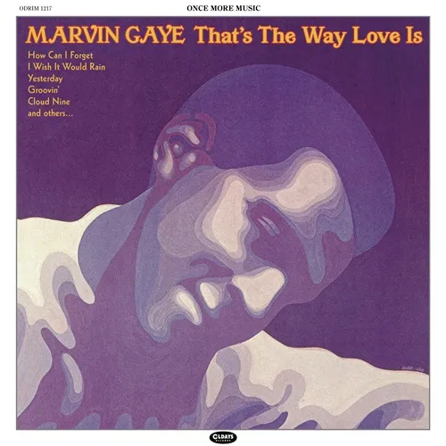 MARVIN GAYE / マーヴィン・ゲイ商品一覧｜SOUL / BLUES｜ディスク