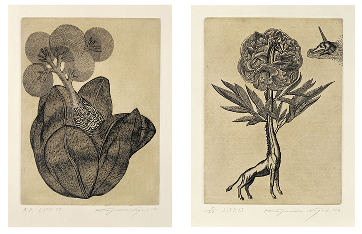 永井一正 シルクスクリーン 生長の話 GROWTH 1966年 額装済 絵画