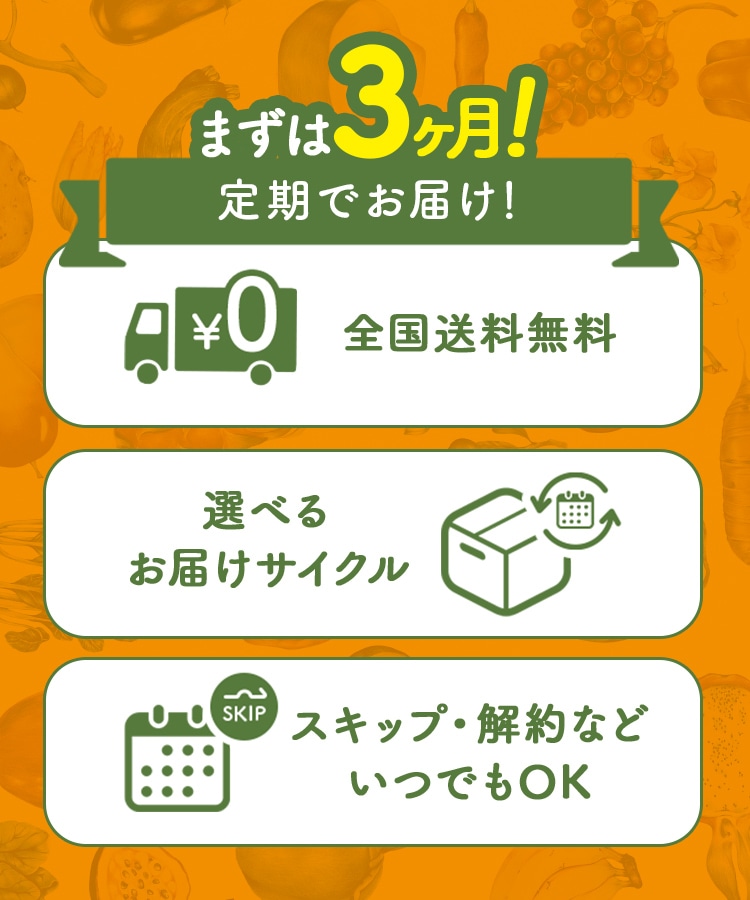 定期購入キャンペーン】Yoganic Life ヨギーニフード100［1箱コース