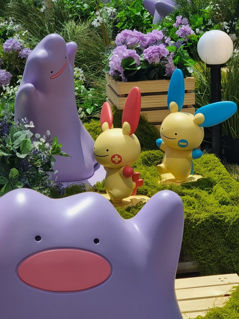 POKEMON Town 2025 メタモンプロジェクト | 韓国でボディプロフィール