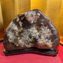 菊花石 岐阜県根尾谷産16.2㌔ 鑑賞石 観賞石 水石 盆石 天然石 置物