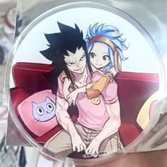 FAIRY TAIL フェアリーテイル アクリルコースター ガジル レビィ