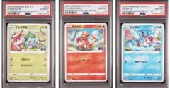 2026年最新】フシギダネ プロモ ポケモンgoの人気アイテム - メルカリ