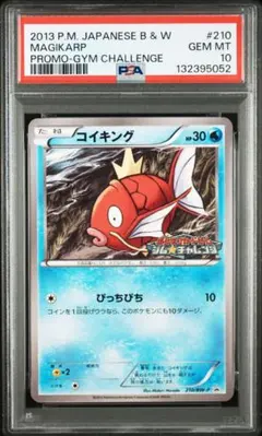 2026年最新】210/BW-P コイキングの人気アイテム - メルカリ