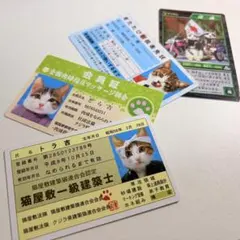 2026年最新】免許証 ゴールド なめ猫の人気アイテム - メルカリ