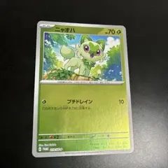 2026年最新】ポケカの夏がキタ プロモカードgetキャンペーンの人気