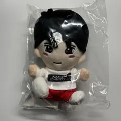 2026年最新】aぇ !group ちびぬいの人気アイテム - メルカリ