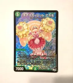 2026年最新】チアスカーレット アカネの人気アイテム - メルカリ