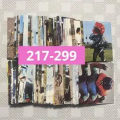 2026年最新】仮面ライダーチップスカードの人気アイテム - メルカリ