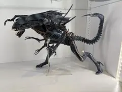 2026年最新】neca エイリアン クイーンの人気アイテム - メルカリ