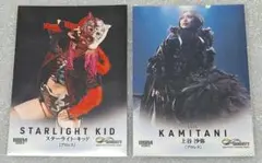 2026年最新】スターライト・キッド プロレスの人気アイテム - メルカリ