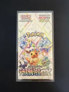 2026年最新】テラスタルフェスex box シュリンクありの人気アイテム