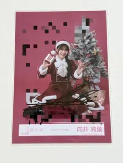 2026年最新】向井純葉 直筆の人気アイテム - メルカリ
