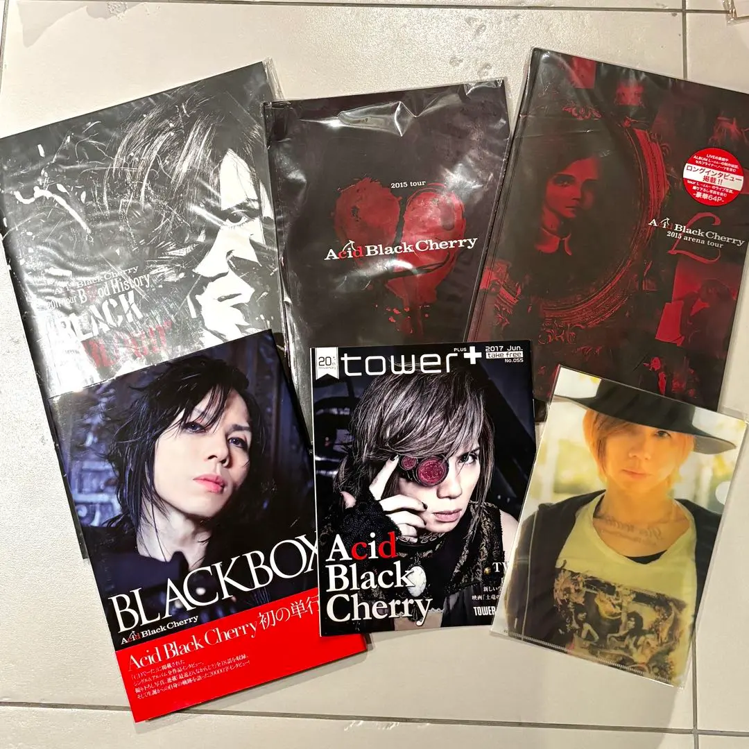 2026年最新】アシッドブラックチェリー クリアファイルの人気アイテム