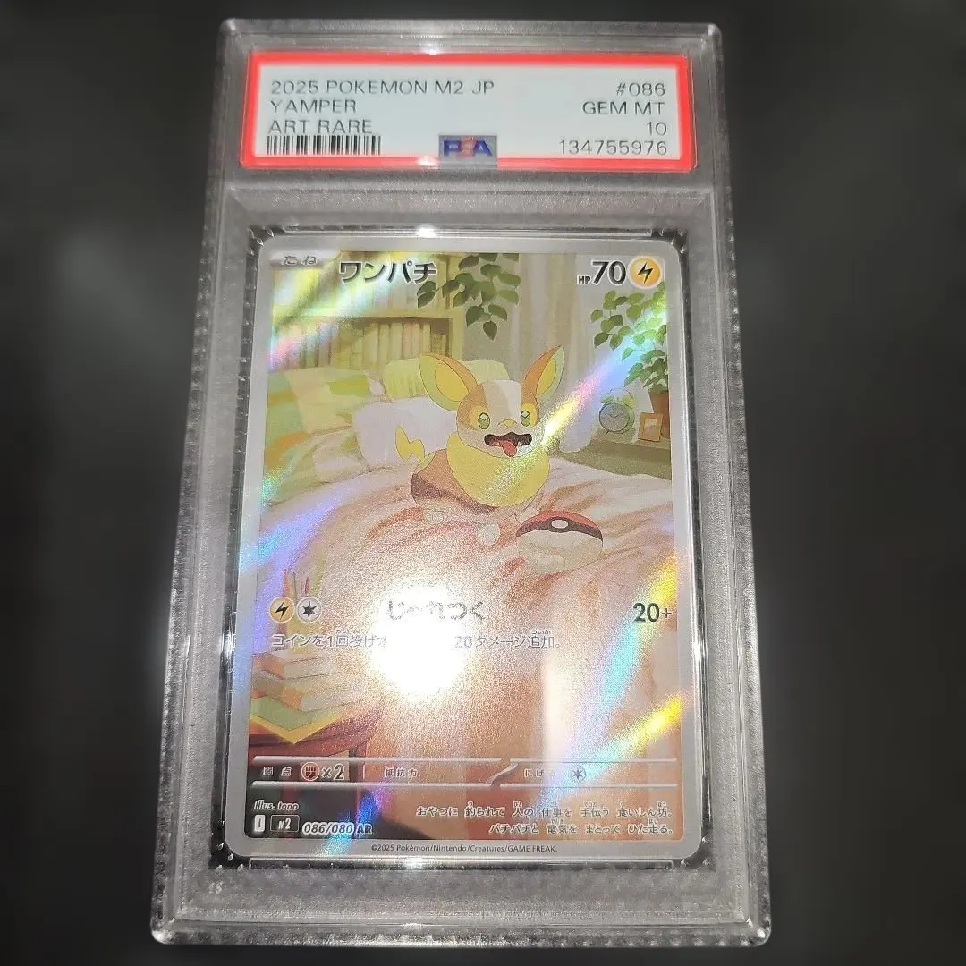 2026年最新】psa10 わんぱちの人気アイテム - メルカリ