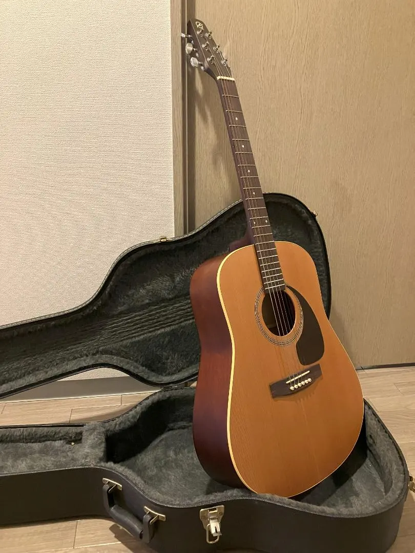 2026年最新】seagull s6の人気アイテム - メルカリ