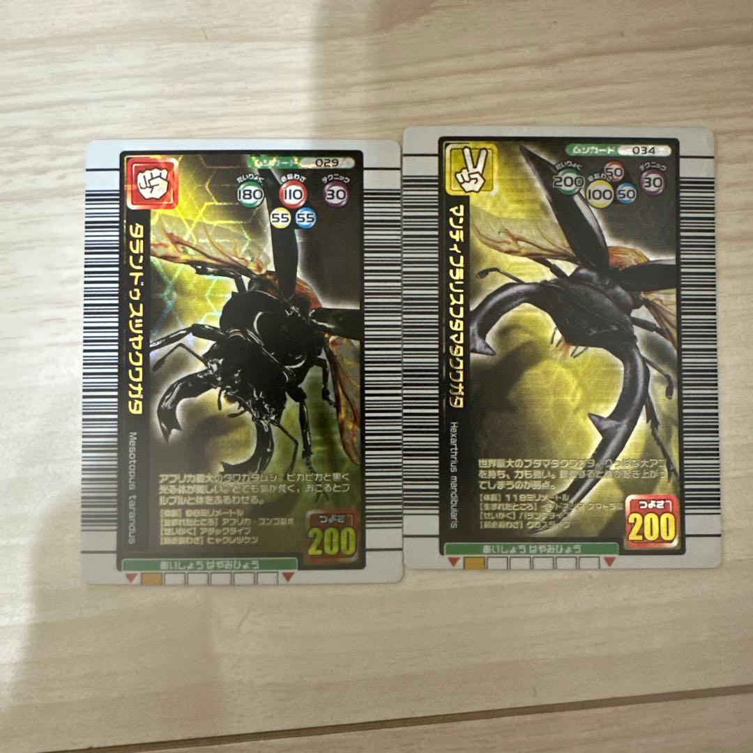 値下げ【極美品】旧ムシキング　2005夏限定デザイン　2枚セット ムシキング2005 ラコダールツヤクワガタ 夏限定デザインカード 銅レア