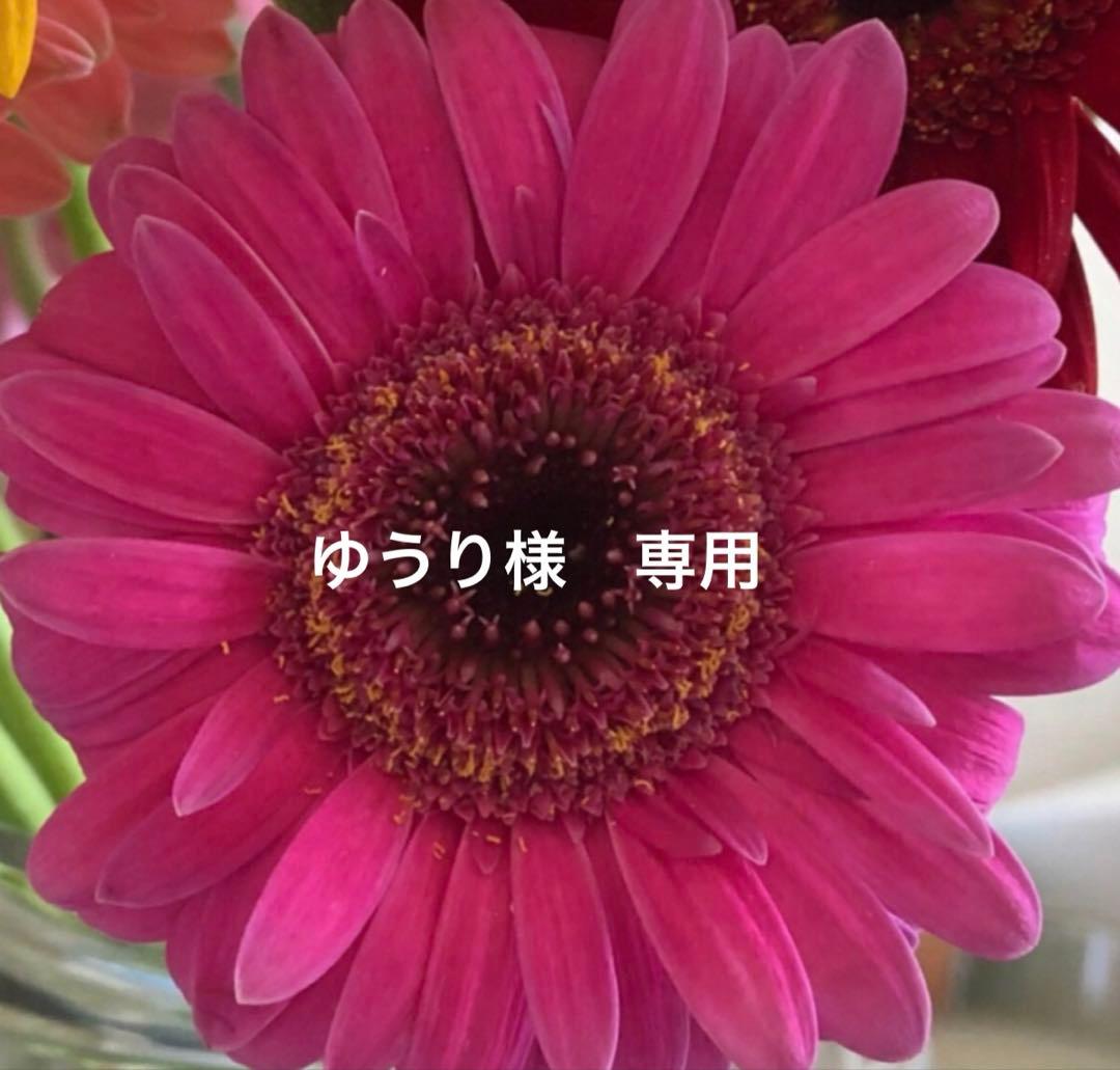 ゆうり アルテマ インフォーム5.5 1000ml アルテマ インフォーム5.5 1000ml アルテマ インフォーム5.5 1000ml