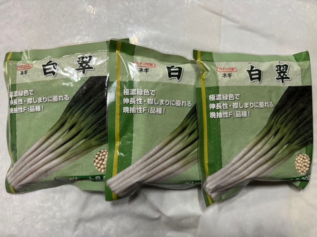 ネギ種子　白翠　6000粒　有効期限26年4月 楽天市場】白翠（KAA-001）コート6000粒 カネコ種苗【ネギ参謀（埼玉県