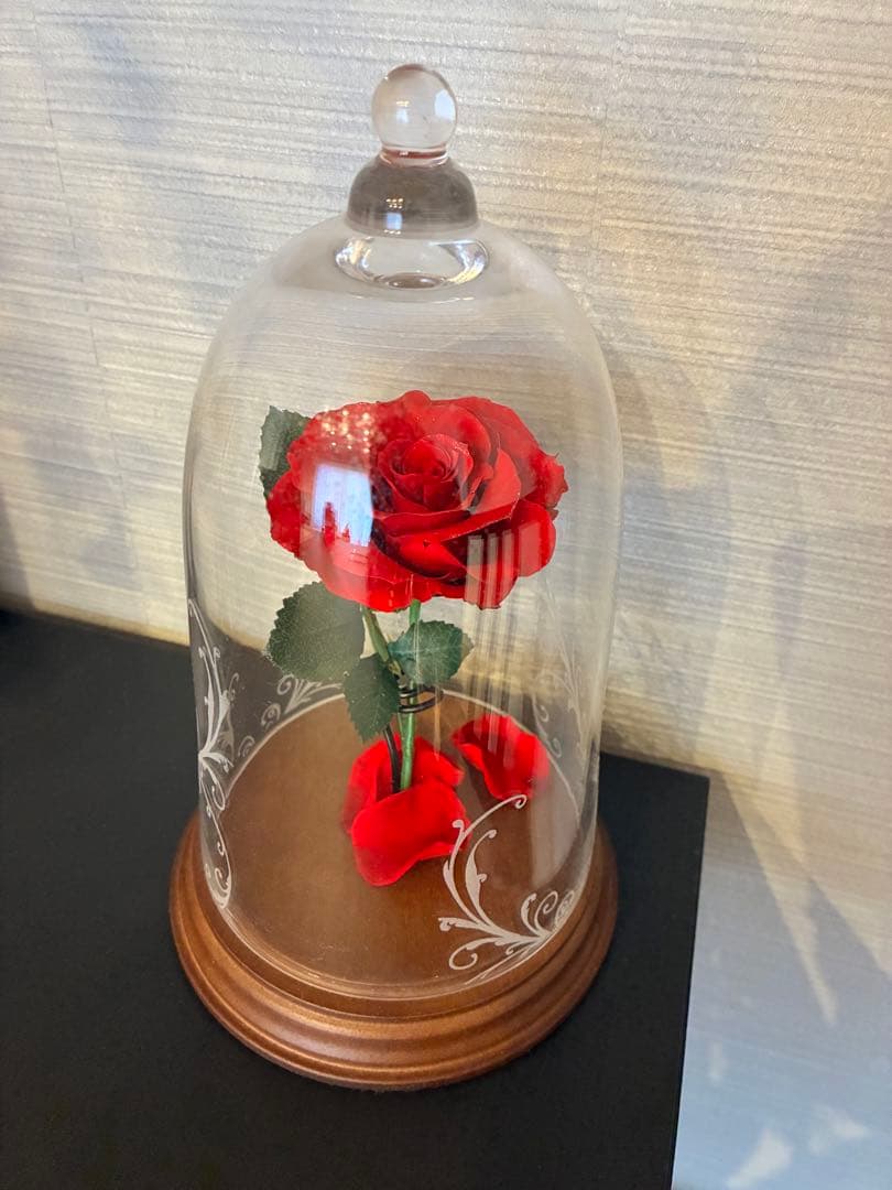 赤いバラのプリザーブドフラワー ガラスドーム プリザーブドフラワー ドーム - フラワーエスト | 札幌花屋