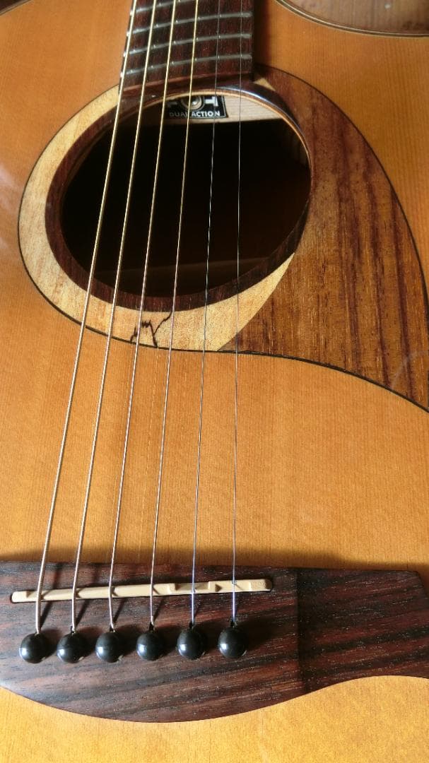 ❤️弦高調整済！Ibanez アイバニーズ AEW22CD-NT1201＋ケース - メルカリ